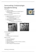 Samenvatting Endodontologie Kanaalbehandeling