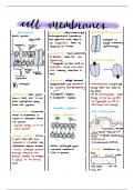 Summary -  Cell Surface Membranes