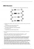 DNA Structure Questions and Answers