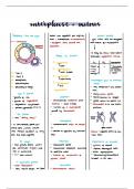 A level Biology OCR - Interphase and Mitosis Summary Notes