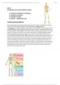 Unit 8 - Aim A - Understand the impact of disorders of the musculoskeletal system and their associated corrective treatments
