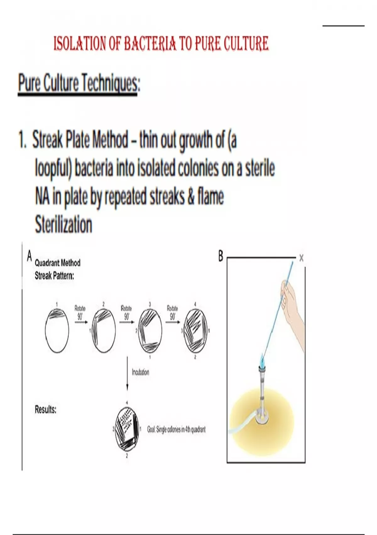 Isolation Techniques in Microbiology - Biology 121 - Stuvia US