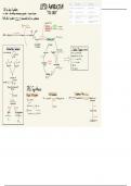 Metabolism Detailed Notes and Diagrams 