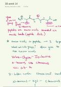 Amino acids, Edman degradation