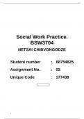 BSW3703_Assignment_2 - Social Work Practice (2023)