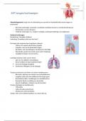 AFP samenvatting longen 