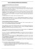 Apuntes 4&ordm; 