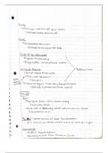 The Adventures of Huckleberry Finn Book Analysis Class Notes - Set 2
