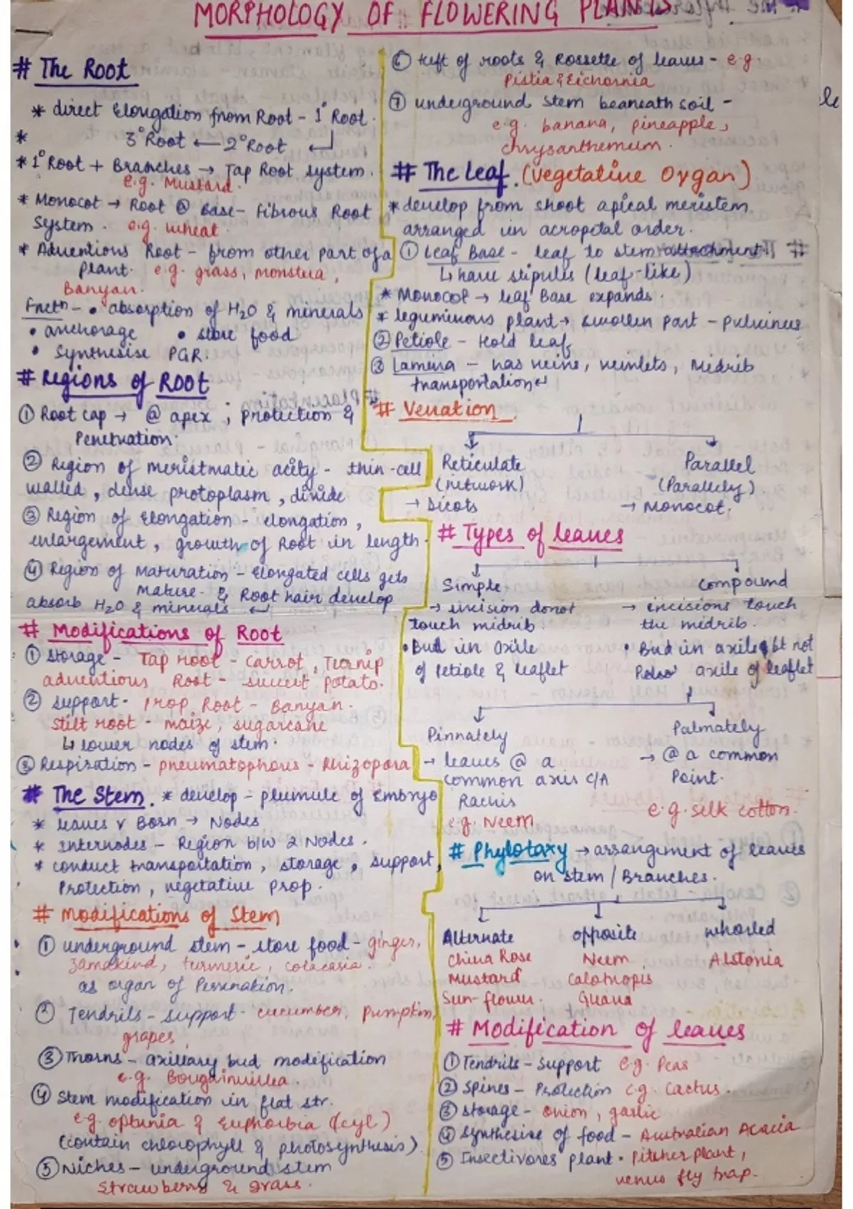 Class notes Biology - Biology - Stuvia US