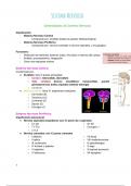 resumen Neuroanatomía Clínica -  medicina