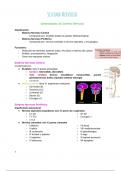 resumen de Neuroanatomía -  medicina
