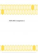 MNG4801 Assignment 2&period;