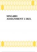 MNG4801 ASSIGNMENT 2 2023&period;