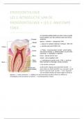 Endodontologie samenvatting KUL