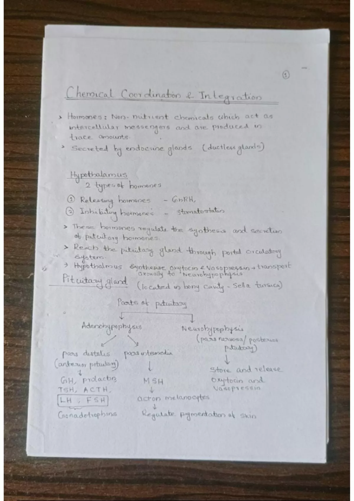 NEET NOTES BIOLOGY - Neet - Stuvia US