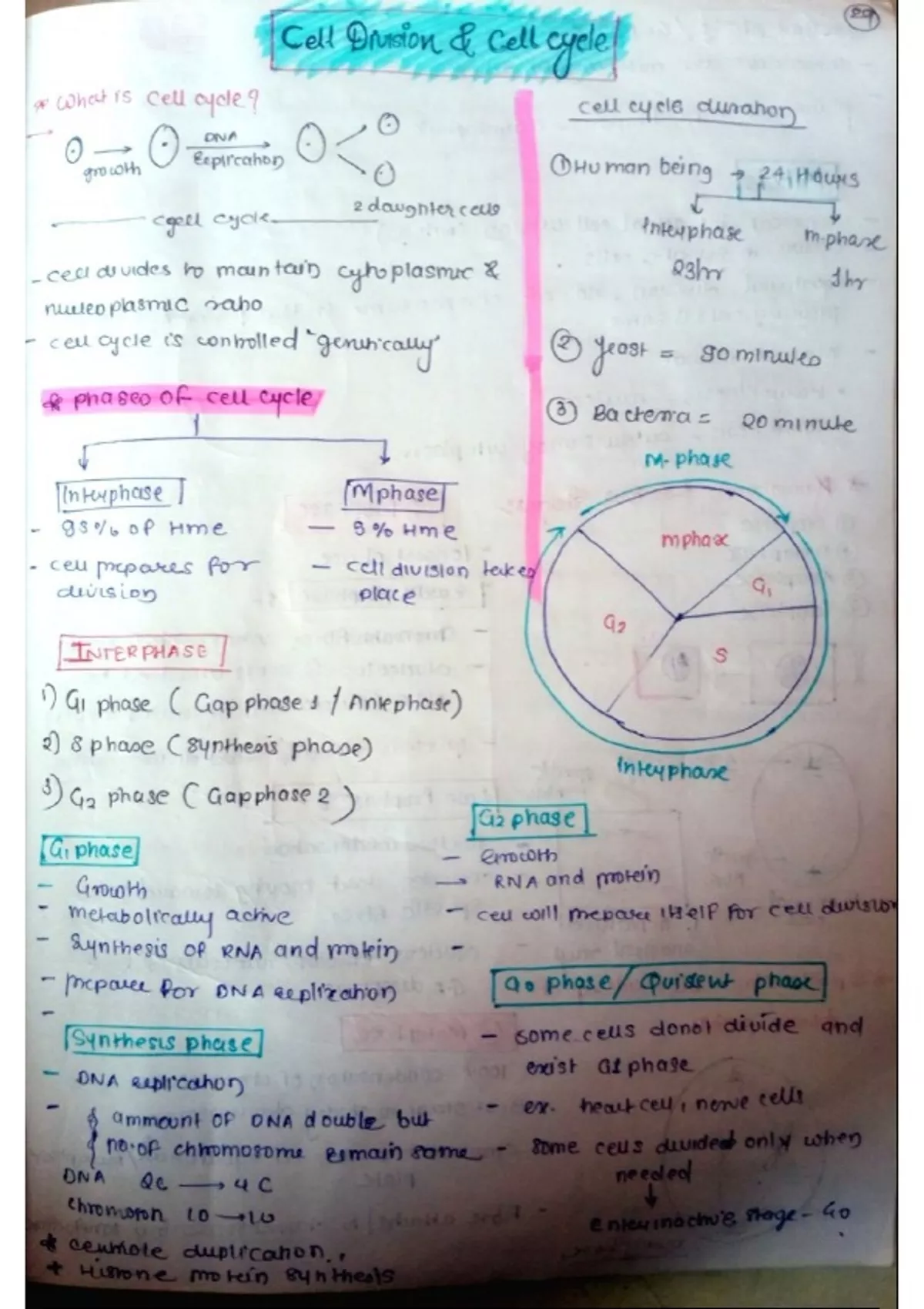 NEET-CET biology notes - NEET - Stuvia US