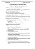 Apuntes Derecho Constitucional (DR1001) 