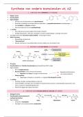 Metabolisme - Overzicht synthese van andere moleculen uit AZ (10.8)