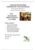 Investigación sobre Vinagres de Arroz, Alcohol y Manzana