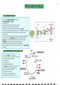 All A level biology year 2 processes (includes all of gene technology)