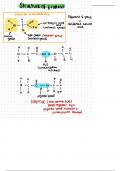 A-Level Biology- Protein Structure