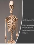 BIOL101 – Anatomy & Physiology