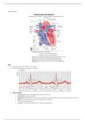 Cardiac overview 