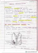 A well written and descriptive notes on Human Reproduction from class 12 ncert from pcmb 