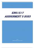 ENG1517 Assignment 3 2023