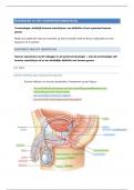 Anatomie en fysiologie keypoints hoofdstuk 19 het voortplantingsstelsel