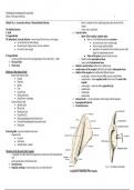 Class notes (VAna) Comparative Anatomy: Musculoskeletal system 