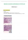 Exam 1 - BIOS252 / BIOS 252 (Latest 2023 / 2024) : Anatomy And Physiology II With Lab - Chamberlain