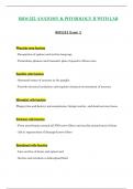 Exam 2 - BIOS252 &sol; BIOS 252 &lpar;Latest 2023 &sol; 2024&rpar; &colon; Anatomy And Physiology II With Lab - Chamberlain