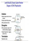 Lect6 Bio202 Study Guide Review