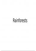 AQA Geography GCSE Rainforest summary notes