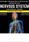 The Nervous System Notes l Complete Guide 2023