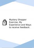 Assignment 1: Mystery shopper 