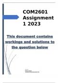 COM2601 Assignment 1 2023