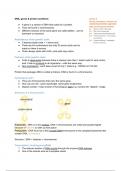 AQA A Level Biology Summary Notes - DNA, Genes and Protein Synthesis