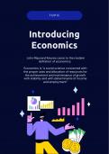 Introducing Economics