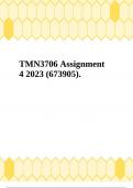 TMN3706 Assignment 4 2023 (673905).