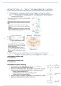 Biochemie 2 : hoofdstuk 10 : samenvatting
