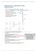 Biochemie 2 : hoofdstuk 15 : samenvatting