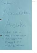 Nucleic Acids: Chapter 2 A level AQA Biology