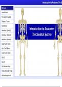 Notes of skeleton system