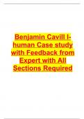Benjamin Cavill I-human Case study with Feedback from Expert with All Sections Required