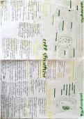 GCSE BIOLOGY Paper 1&colon; Cell Structure notes 