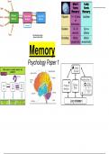 AQA A-Level Psychology Memory topic notes 