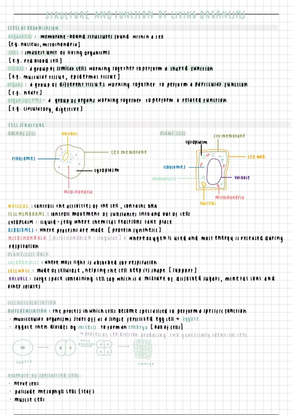 Summary The structure and function of living organisms - Science ...