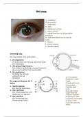 Samenvatting -  Toegepaste biologie (het oog)